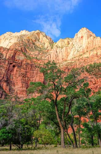 Zion National Park