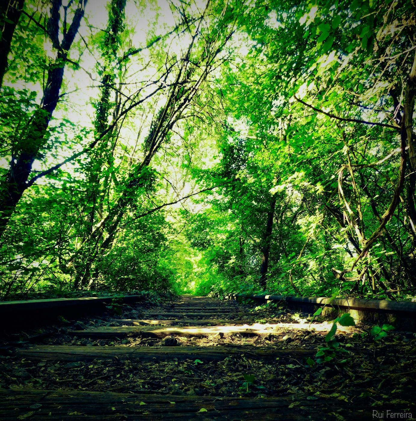Abandoned Train Tracks in Audun-le-Tiche, France