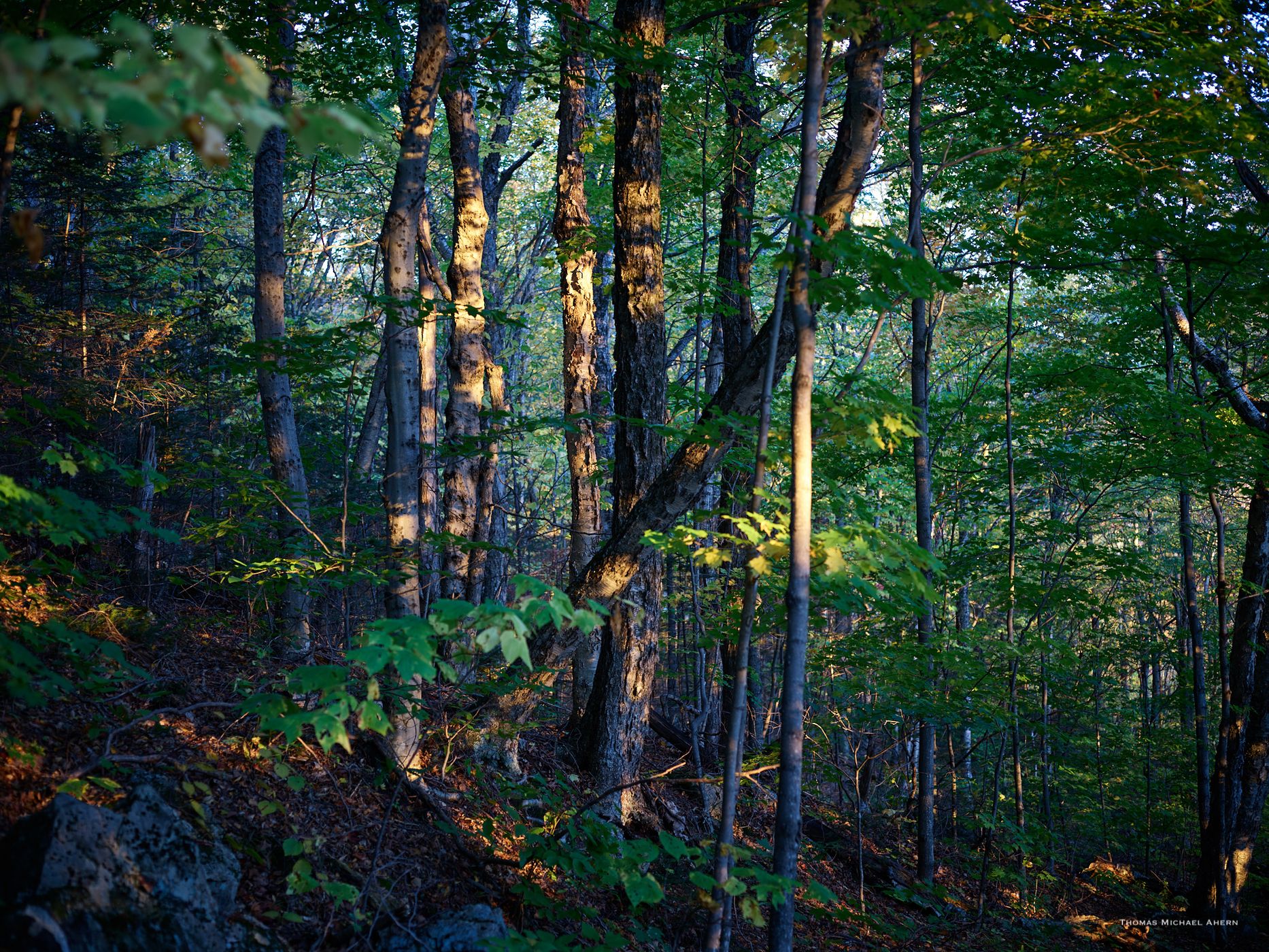 Artist's Bluff Loop, USA