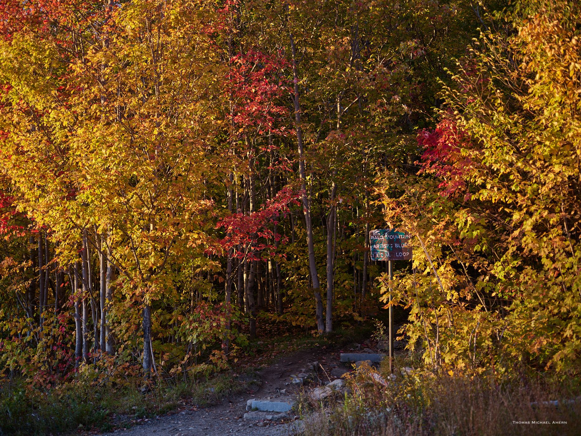 Artist's Bluff Loop, USA