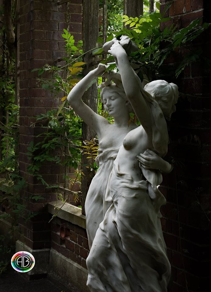 Auckland Wintergartens fernery, New Zealand