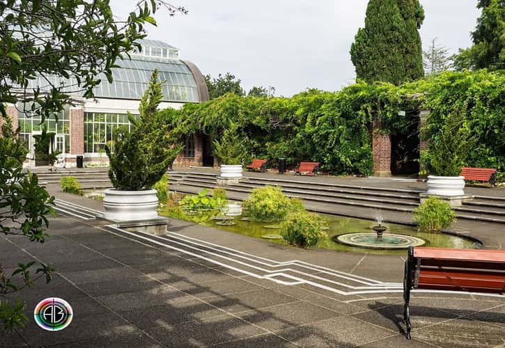Auckland Wintergartens fernery