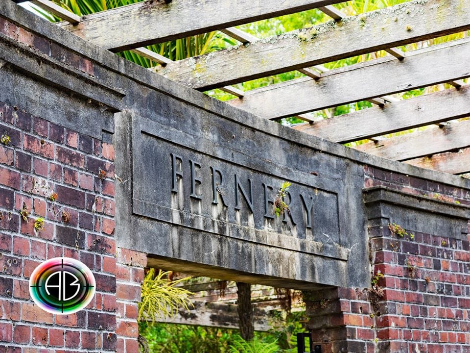 Auckland Wintergartens fernery, New Zealand