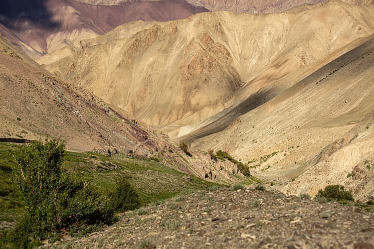 Auf dem Markha Valley Trek