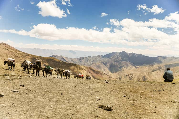 Auf dem Markha Valley Trek