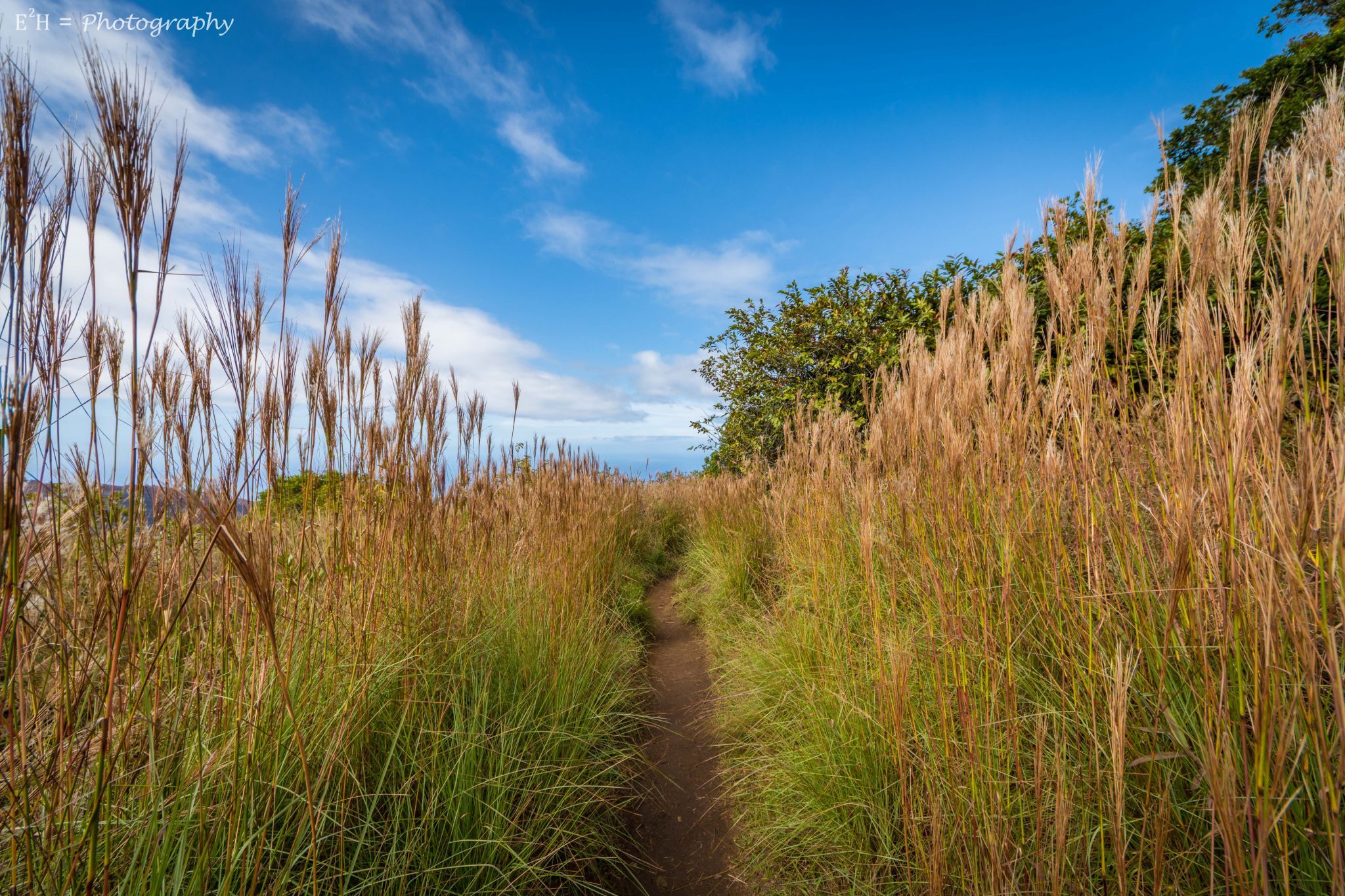 Awa'awapuhi Trail, USA