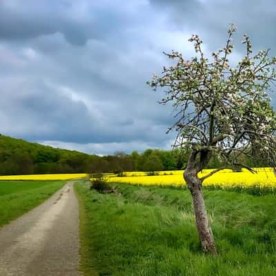 Bad Weather Way, Germany