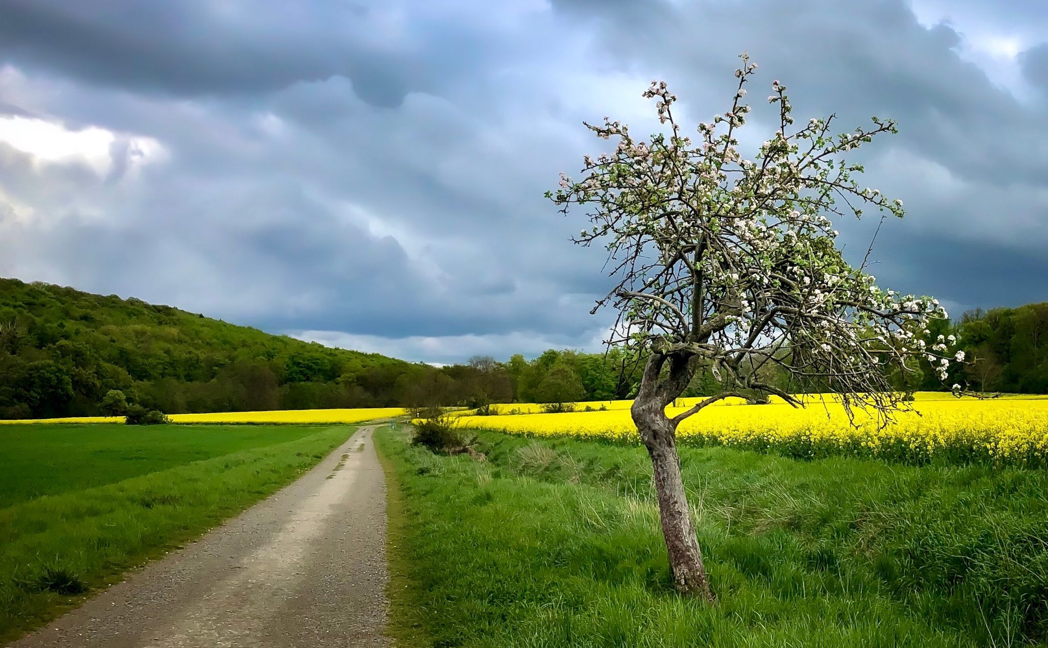 Bad Weather Way, Germany