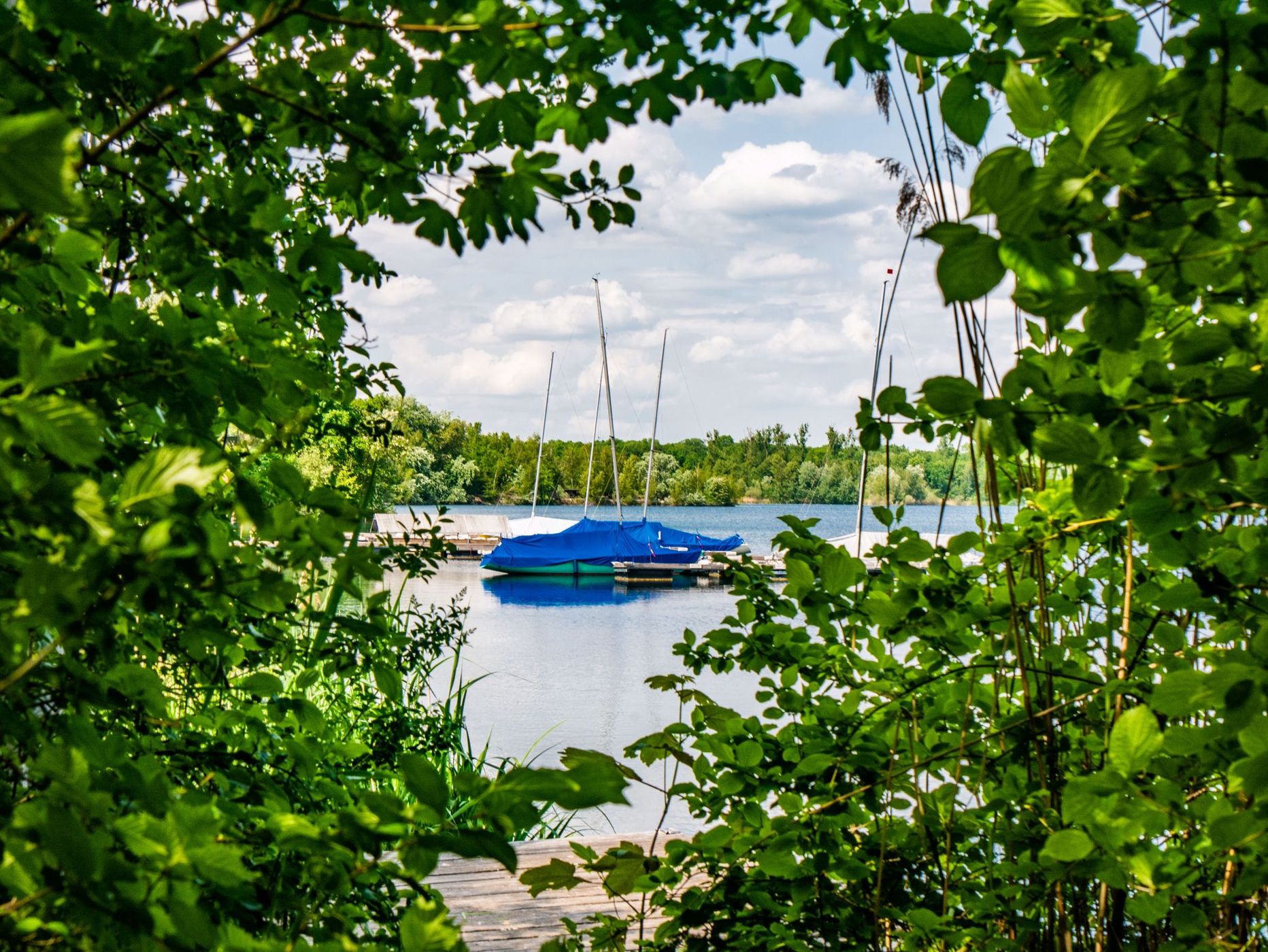 Baggersee Mittelgrund , Eggenstein-Leopoldshafen, Germany
