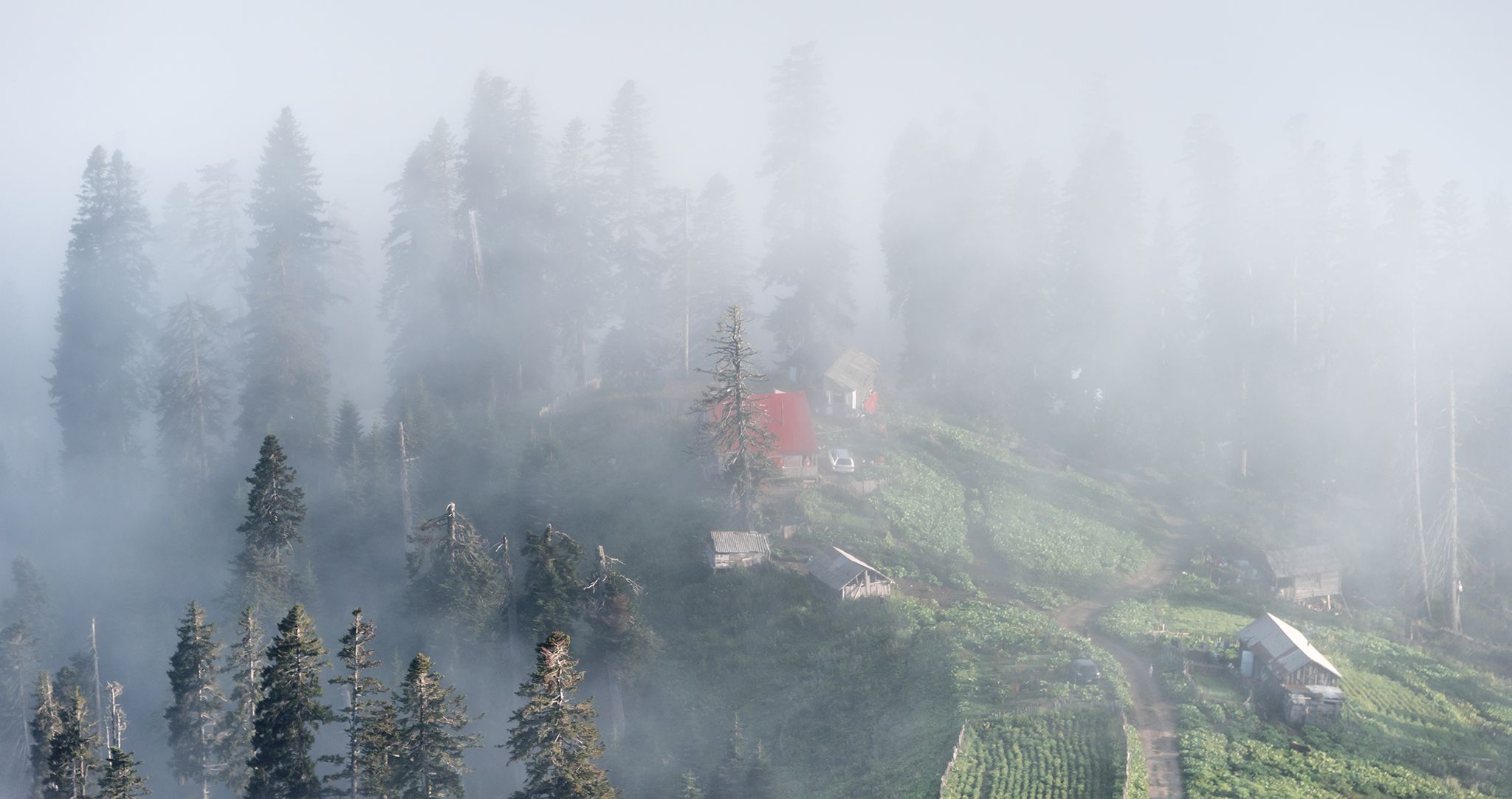 Bakhmaro, Georgia, Georgia