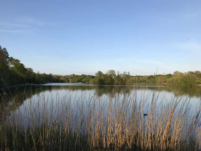 Barden Lake, Tonbridge, Kent