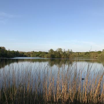 Barden Lake, Tonbridge, Kent, United Kingdom