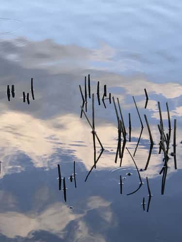 Barden Lake, Tonbridge, Kent