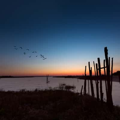 Birds Reserve, France