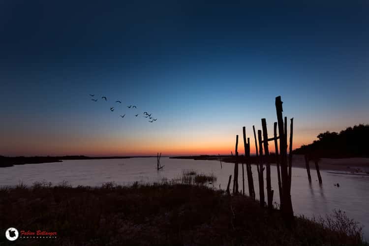 Birds Reserve