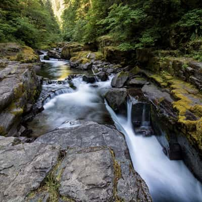 Brice Creek, USA