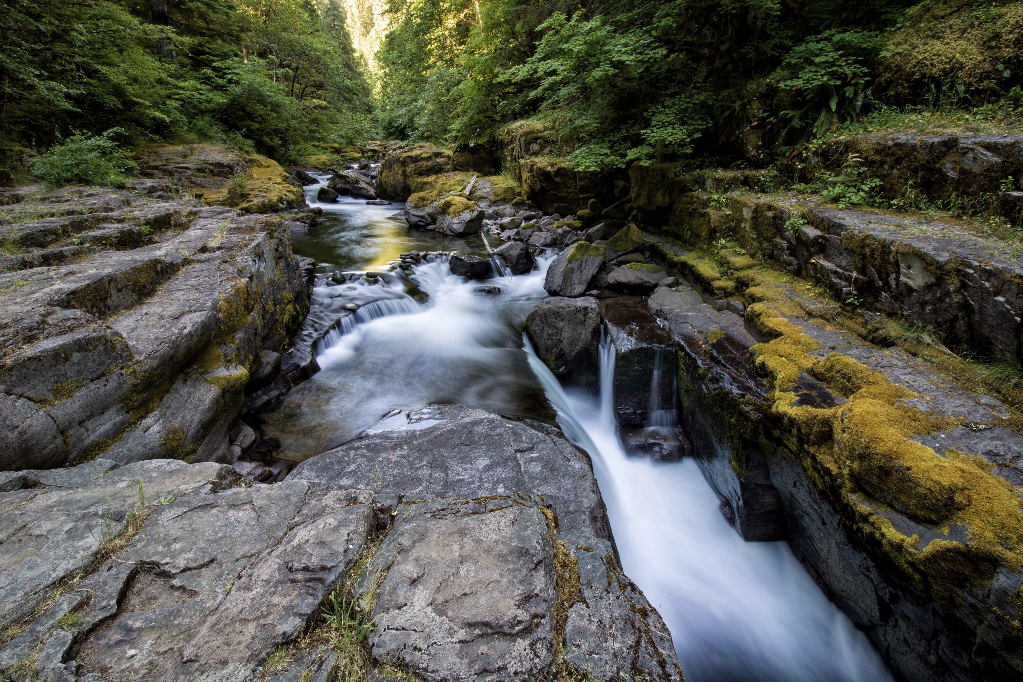 Brice Creek, USA