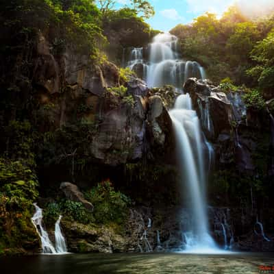 Cascade des Aigrettes, Reunion