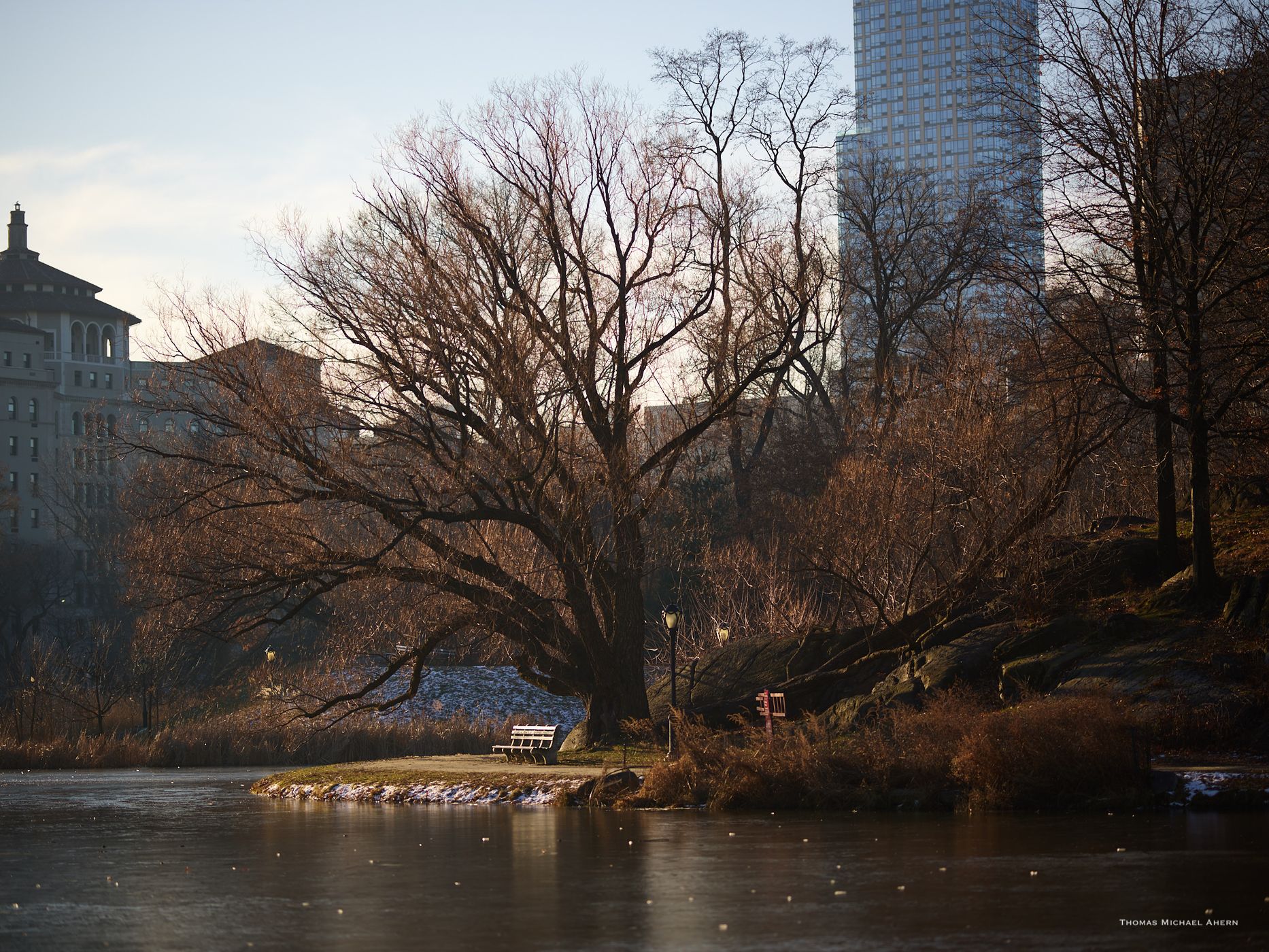 Charles A. Dana Discovery Center, Central Park, New York, USA