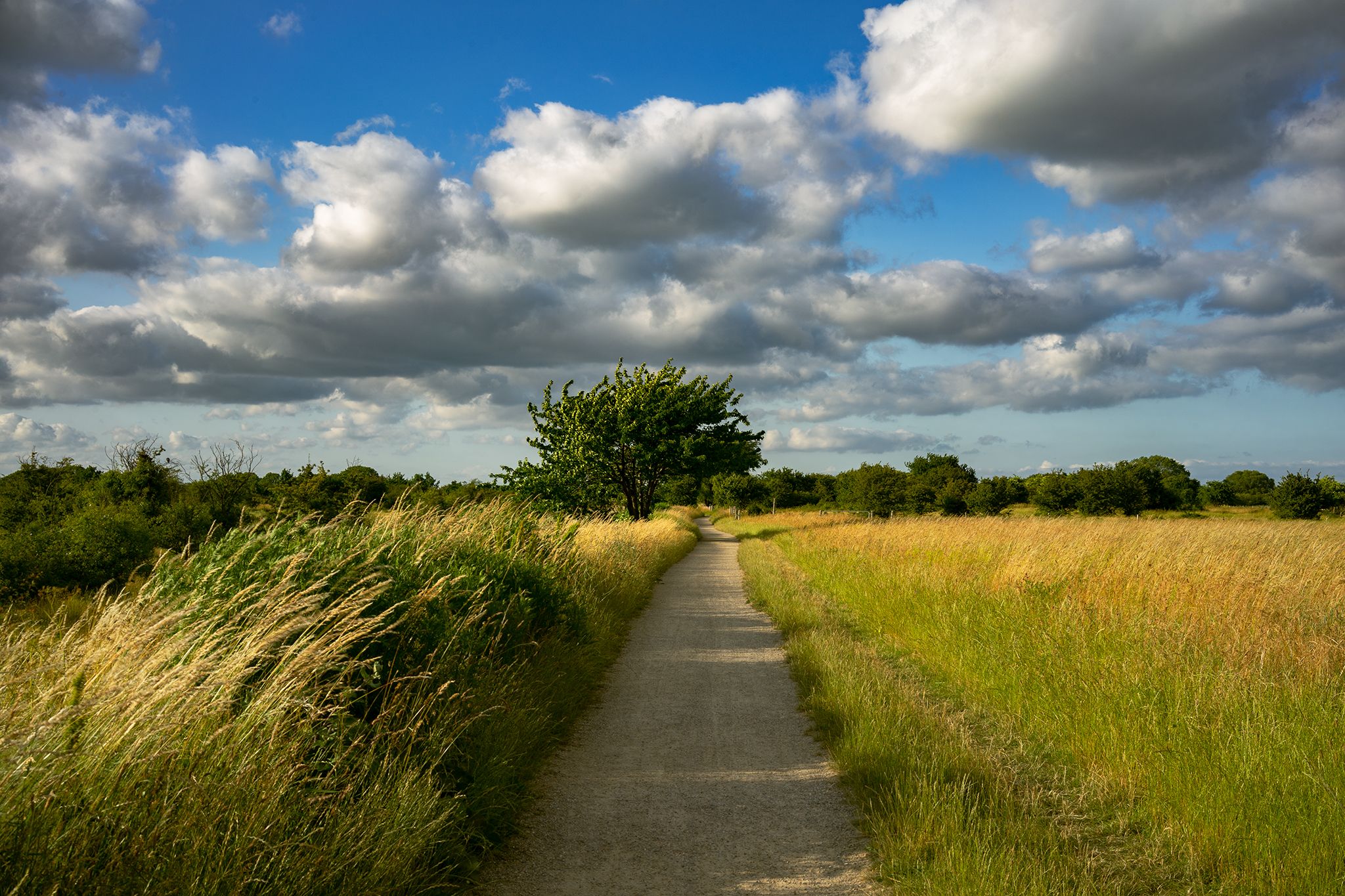 Coastal path, Denmark