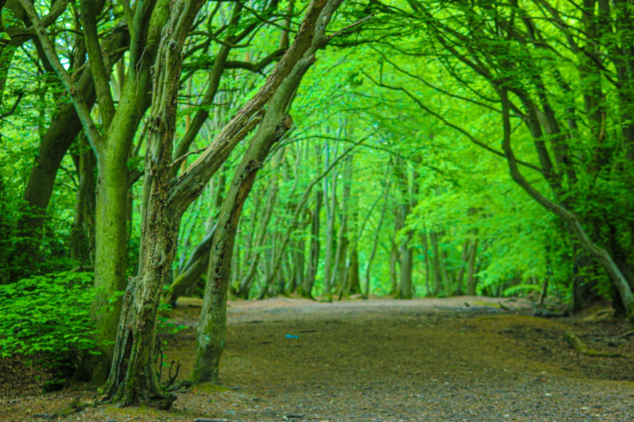 Combe Hill, United Kingdom