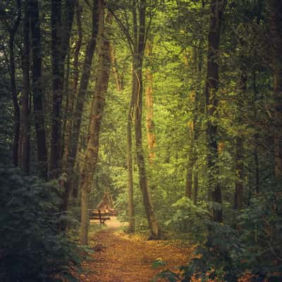 Eilenriede Park, Hanover, Germany