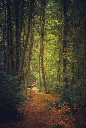 Eilenriede Park, Hanover