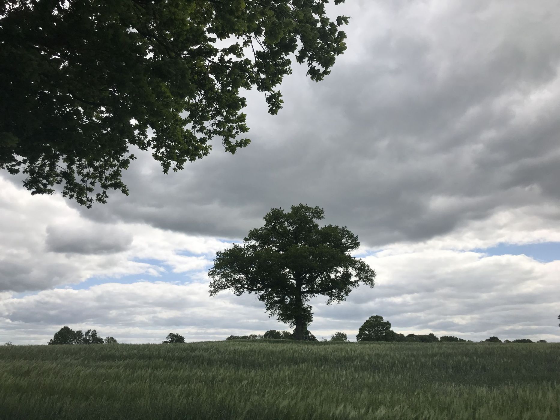 English countryside, United Kingdom