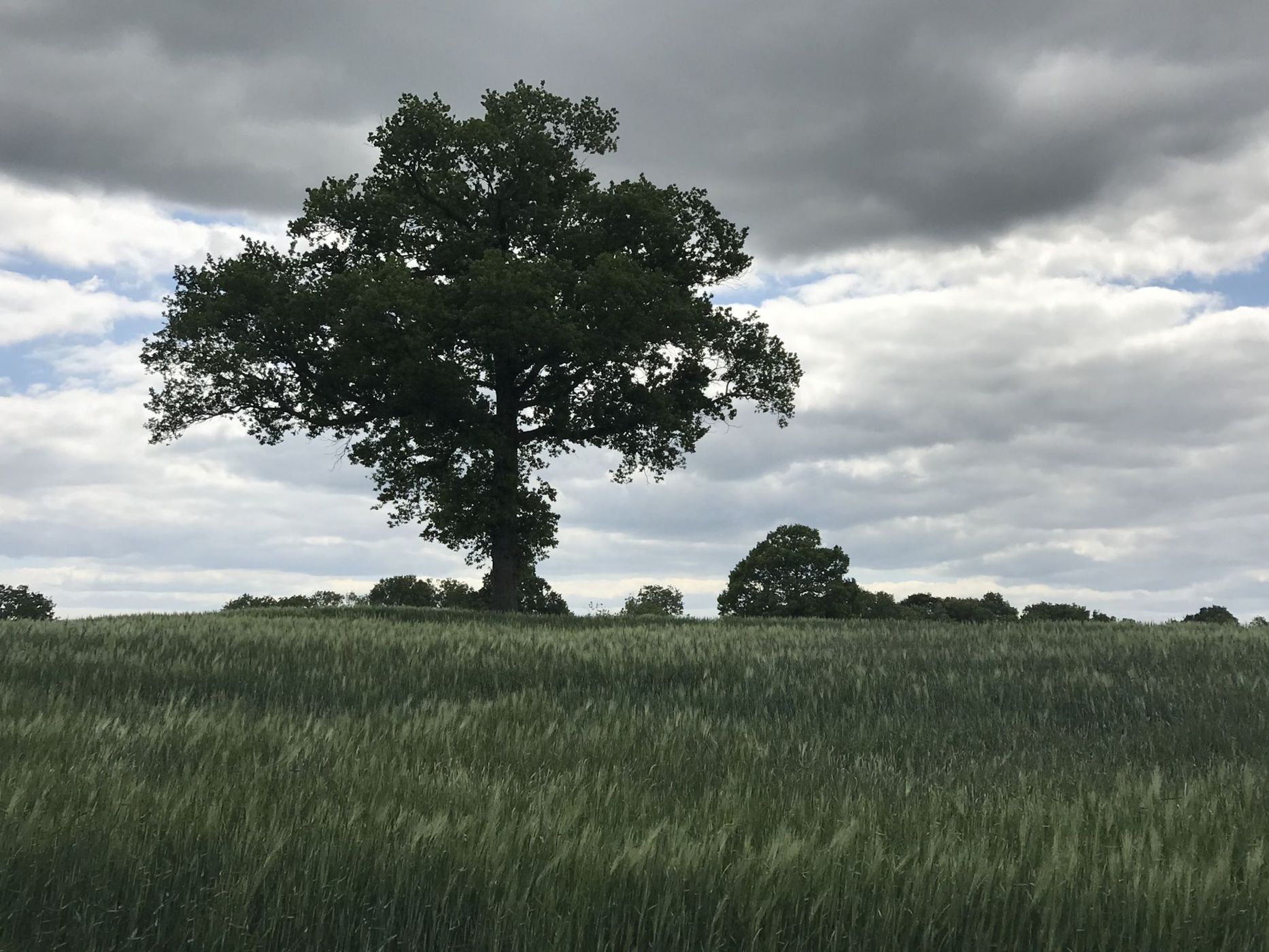 English countryside, United Kingdom