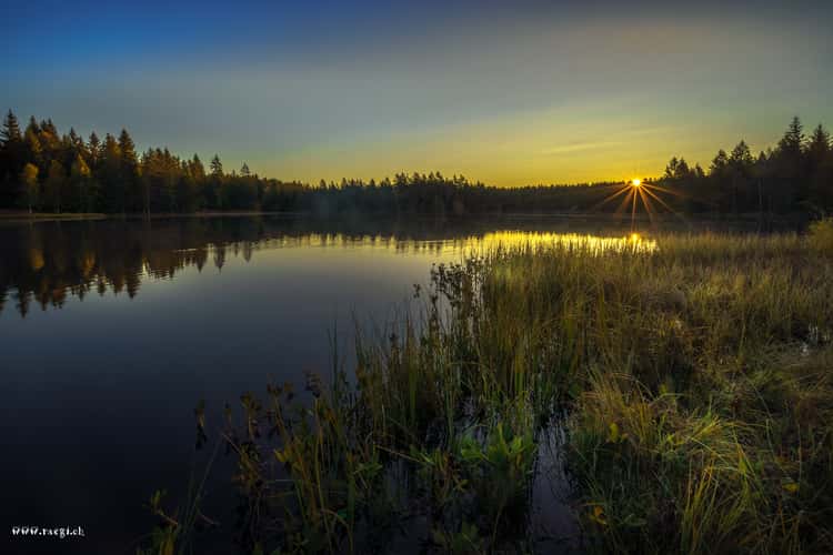 Etang de la Gruère