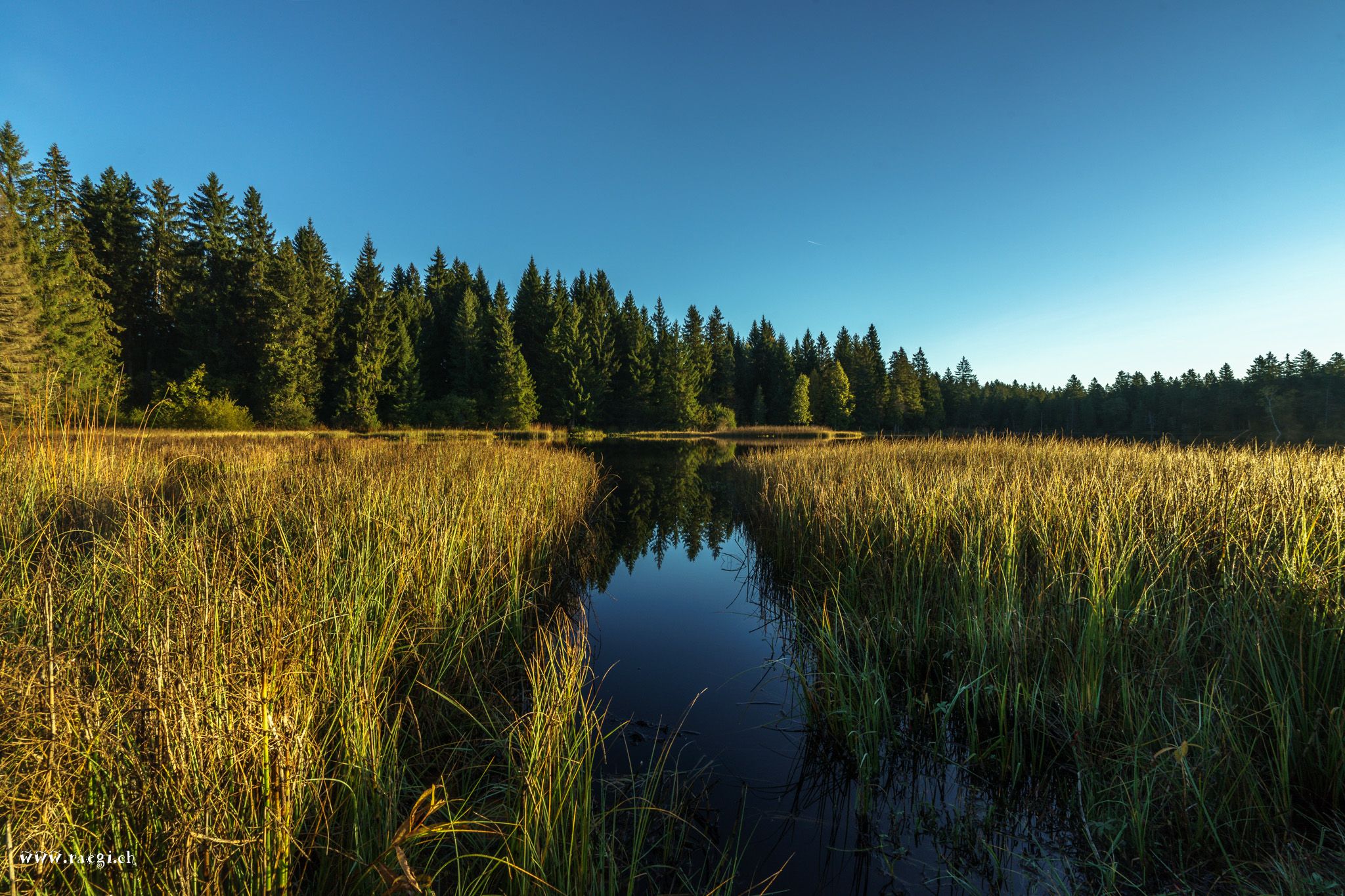 Etang de la Gruère, Switzerland