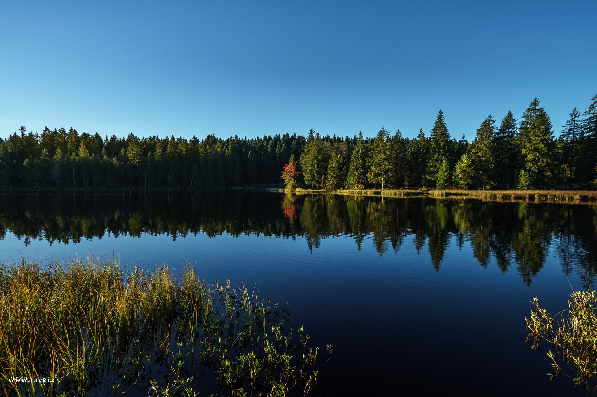 Etang de la Gruère, Switzerland