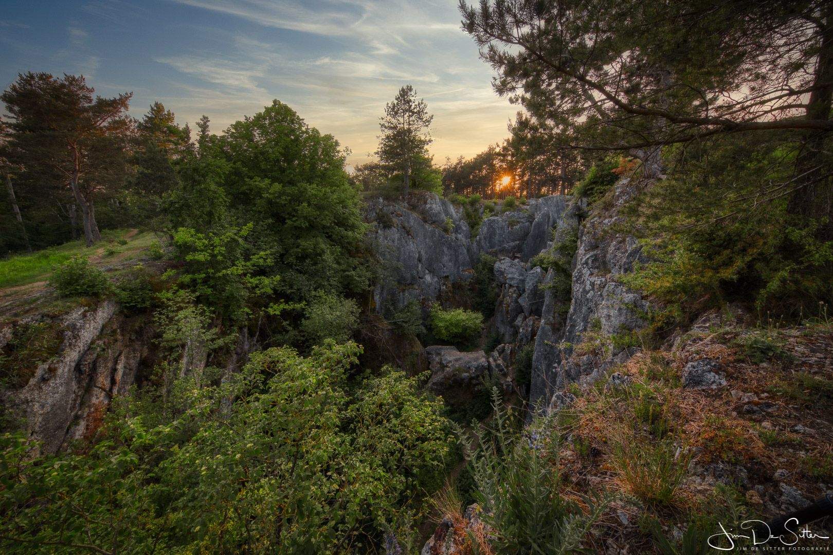 Fondry Des Chiens, Belgium