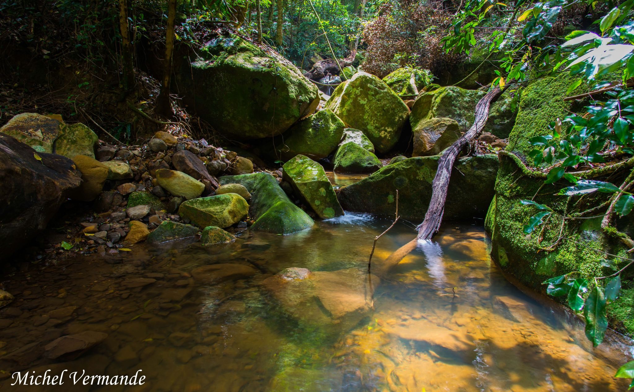 rain forest - Top Spots for this Photo Theme