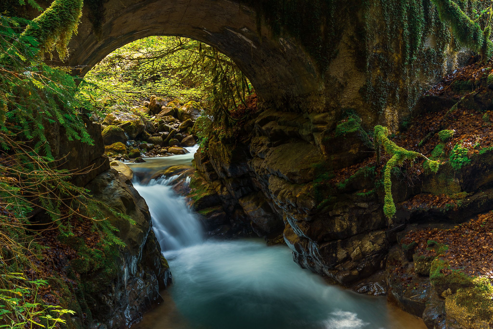 Gorges de Chauderon, Switzerland