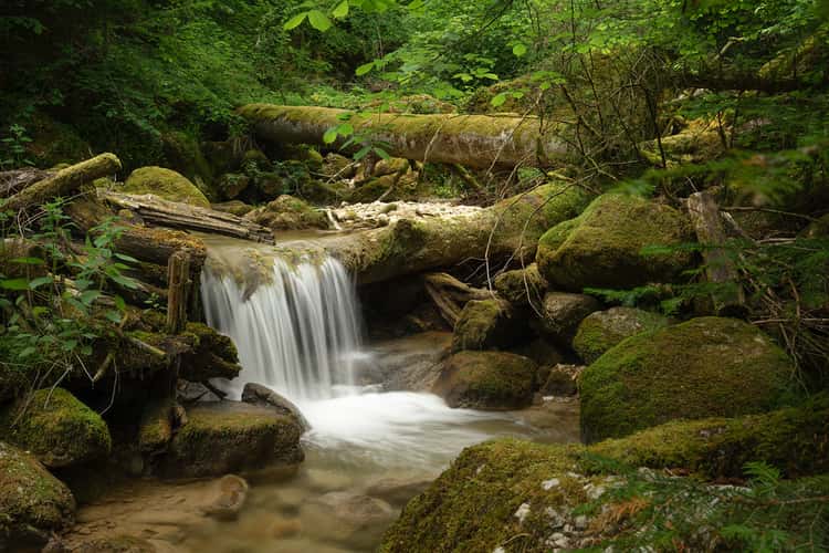 Gorges de Douanne