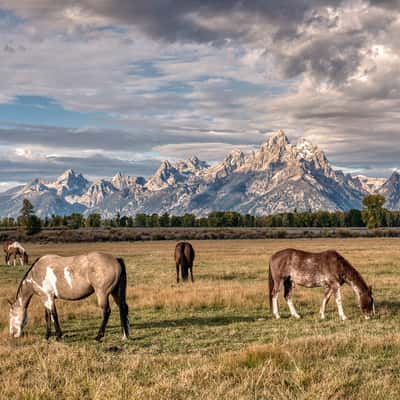 Grand Teton NP, USA