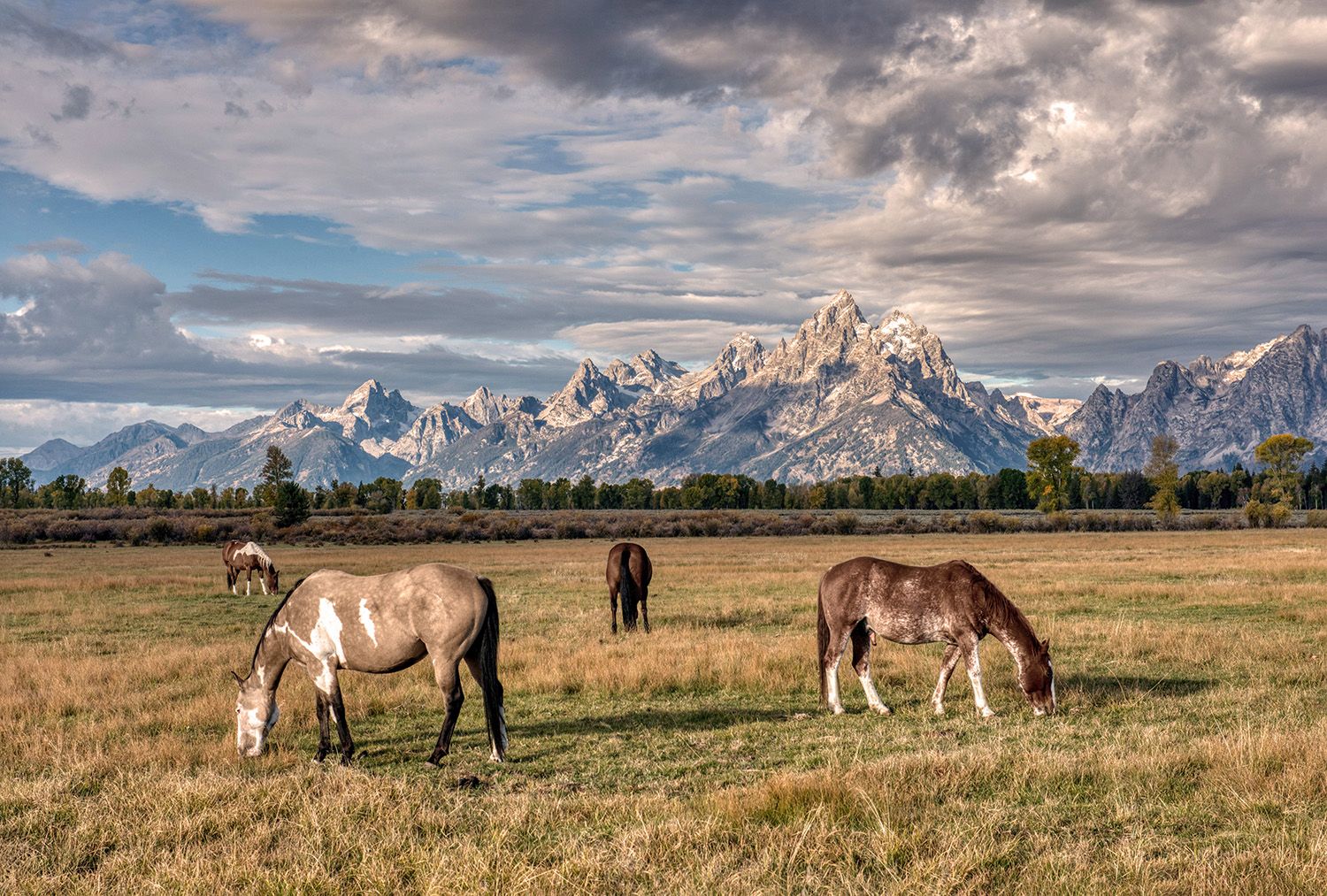 Grand Teton NP, USA