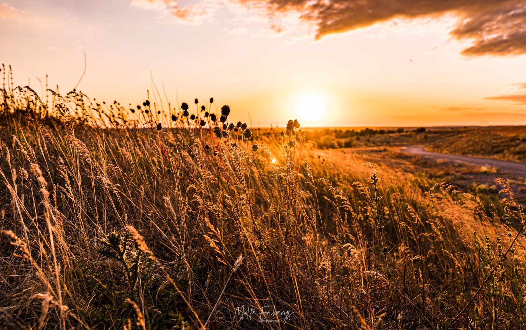 Halde Norddeutschland, Germany