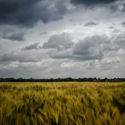 Hannover Fields, Germany