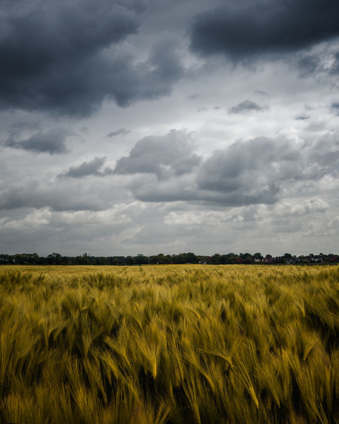 Hannover Fields, Germany