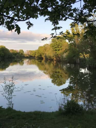 Haysden Country Park