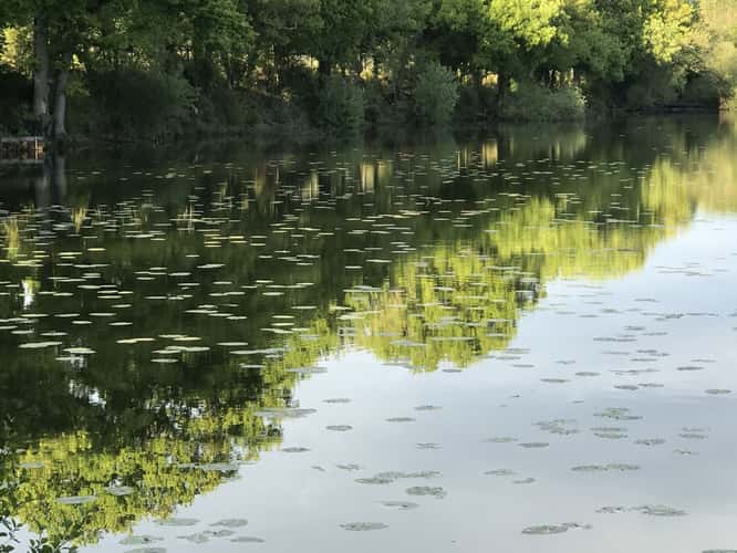 Haysden Country Park