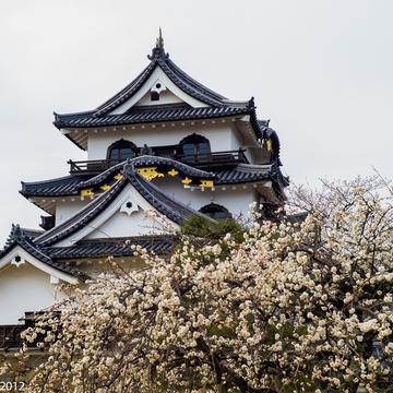 Hikone Castle, Japan, Japan