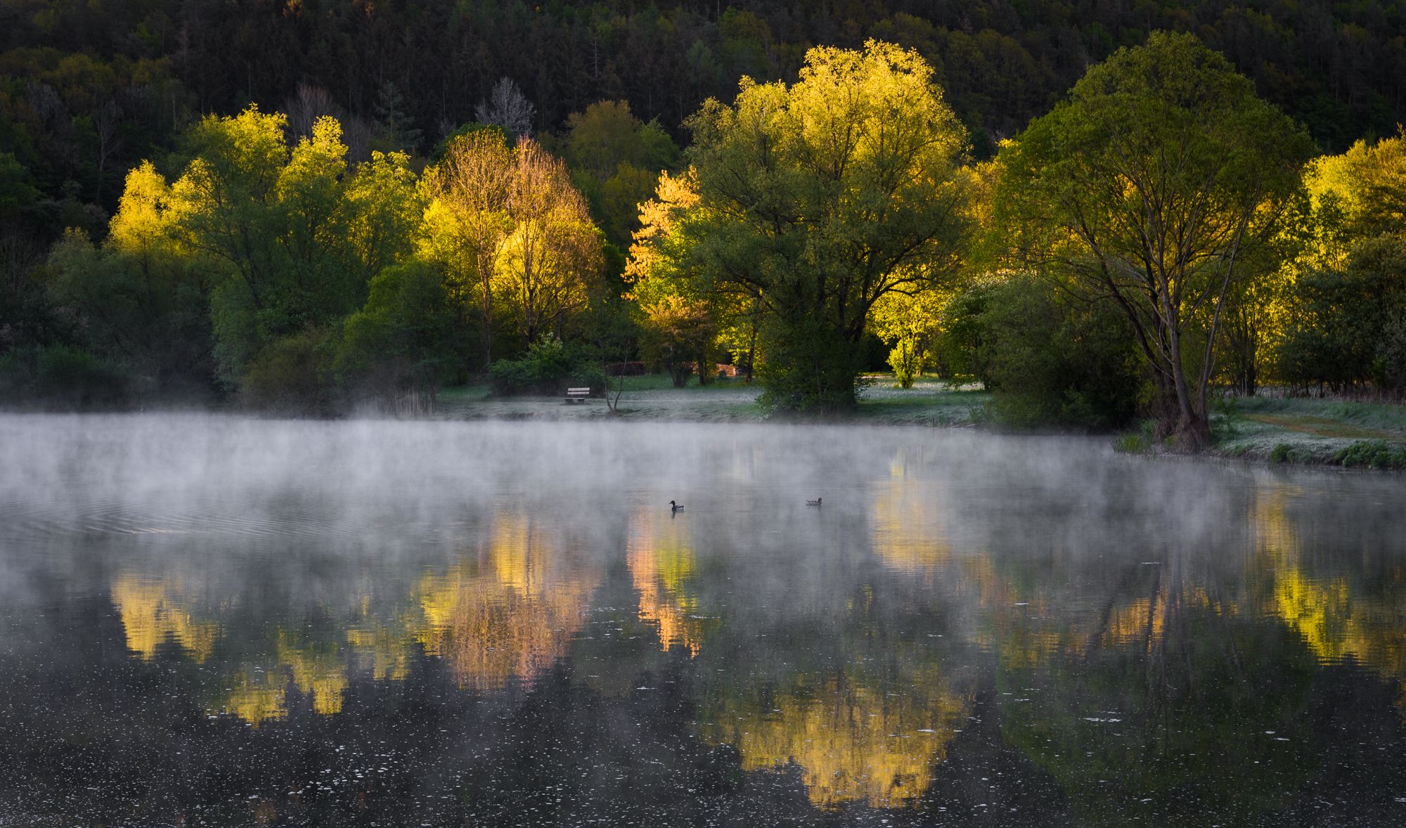 Hochwasserrückhaltebecken Eicherscheid, Germany