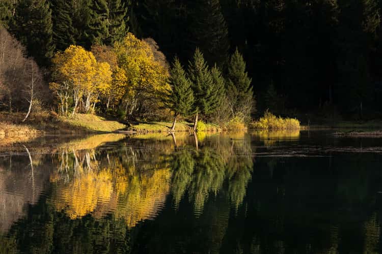 Lac des Mines d'or