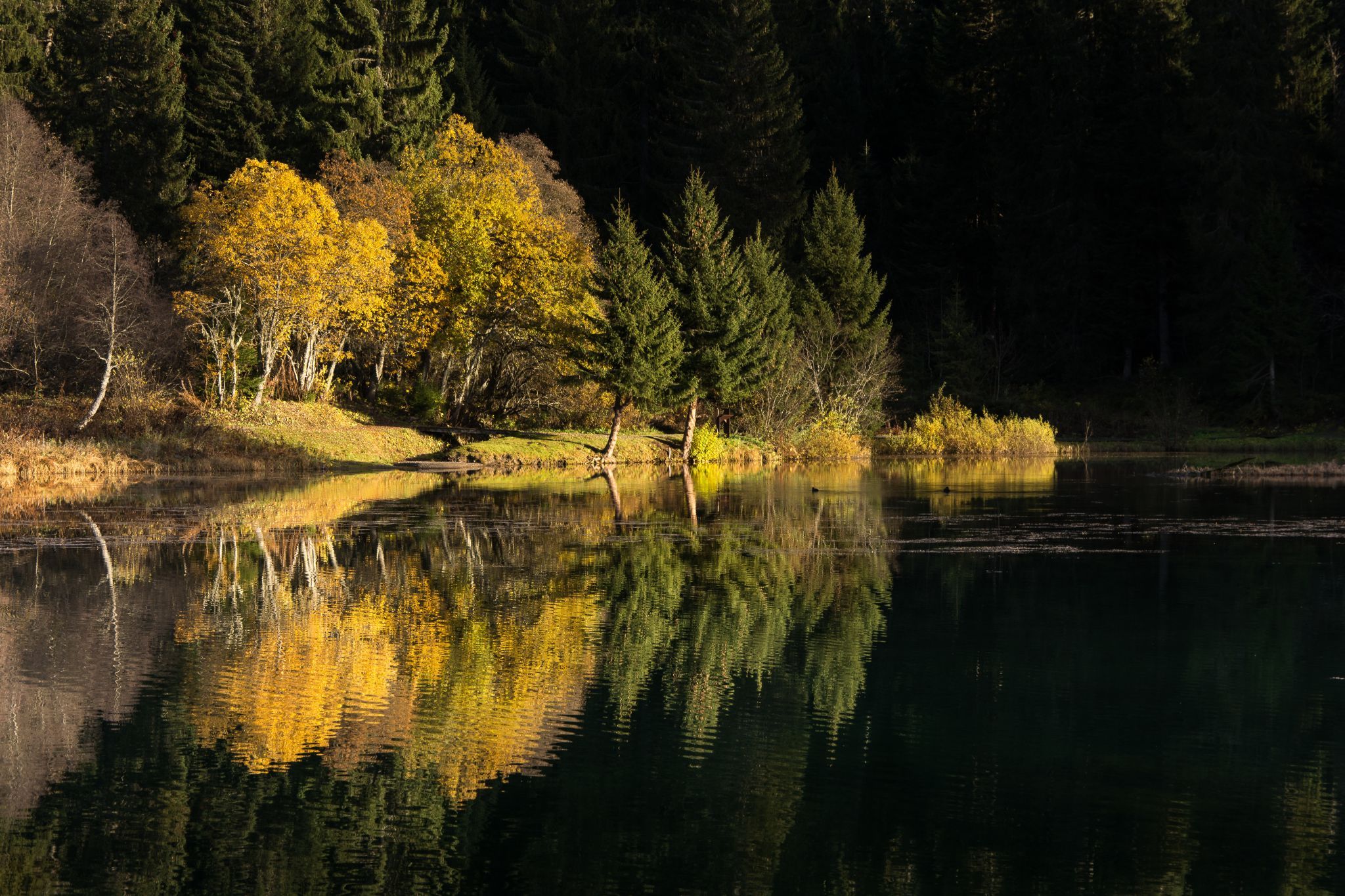 Lac des Mines d'or, France