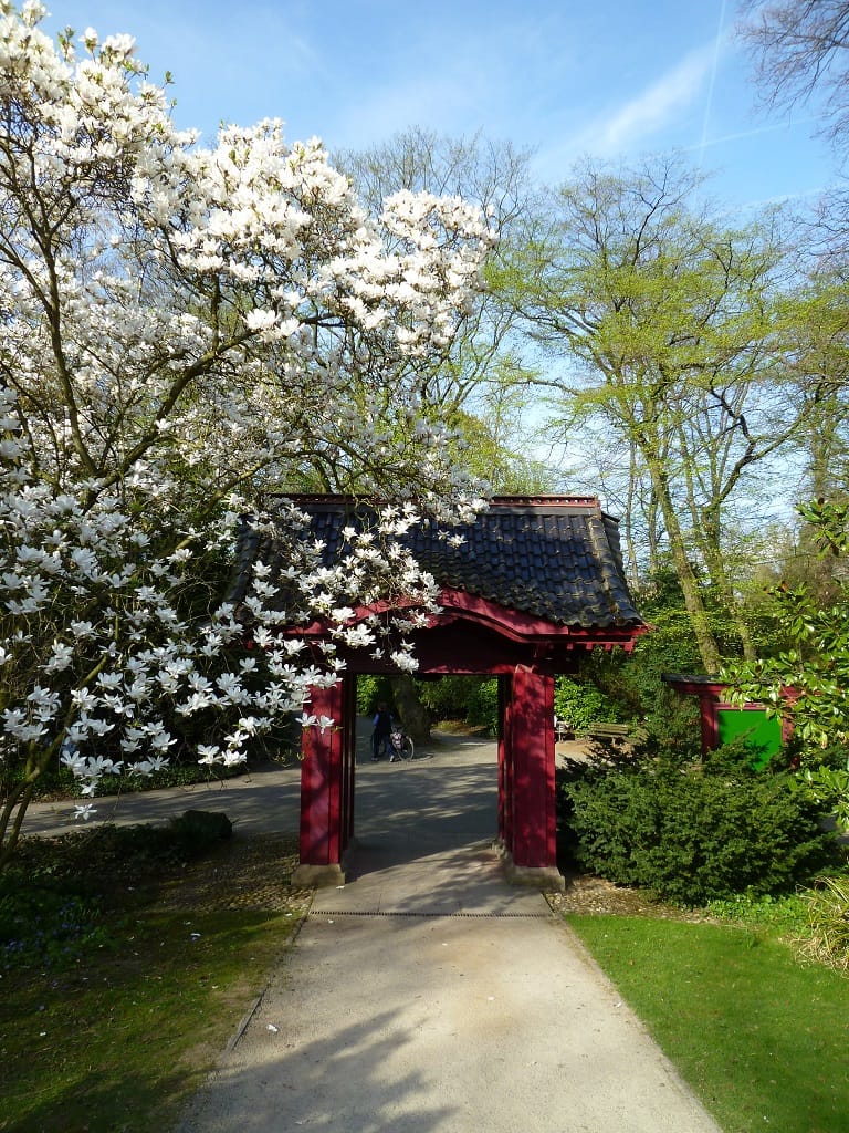 Leverkusen - Japanese Garden, Germany