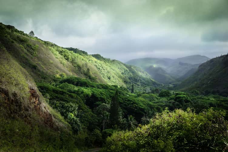 Maui