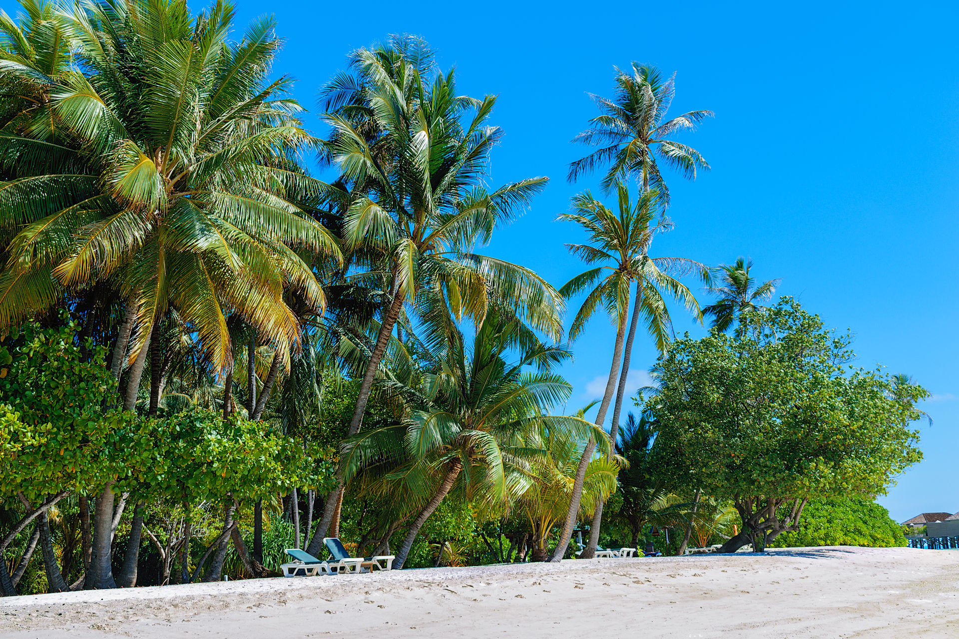 Meeru Island, Maldives
